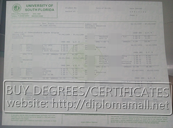 University of South Florida transcript