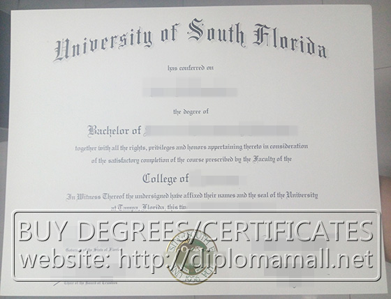 University of South Florida diploma
