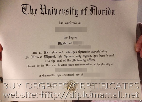 University of Florida master degree University of Florida master degree