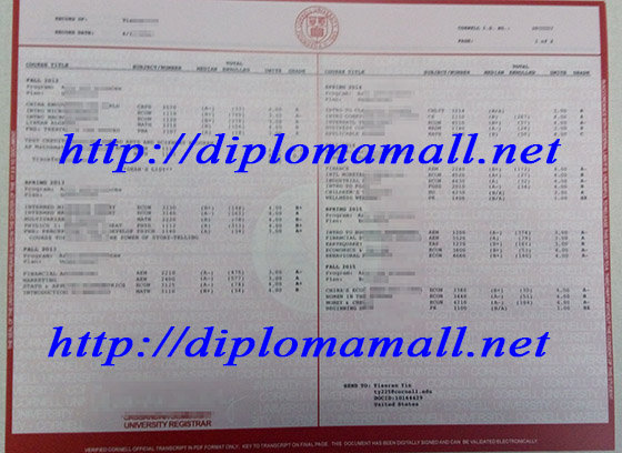 Cornell University transcript